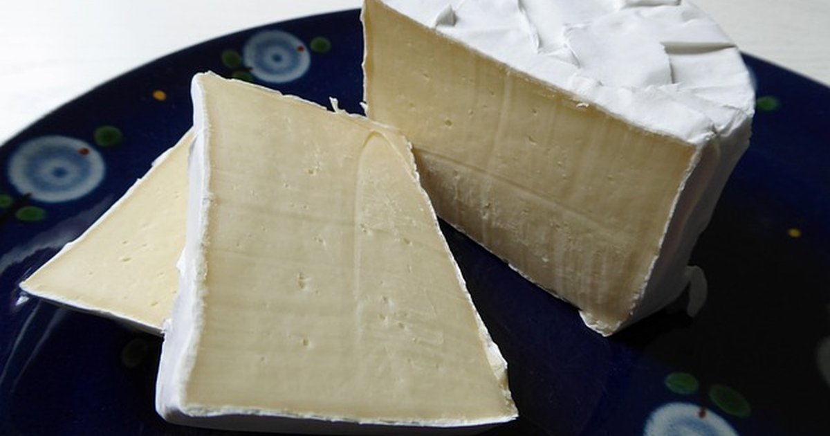 Cómo evitar rechazos en certificaciones de queso ecológico