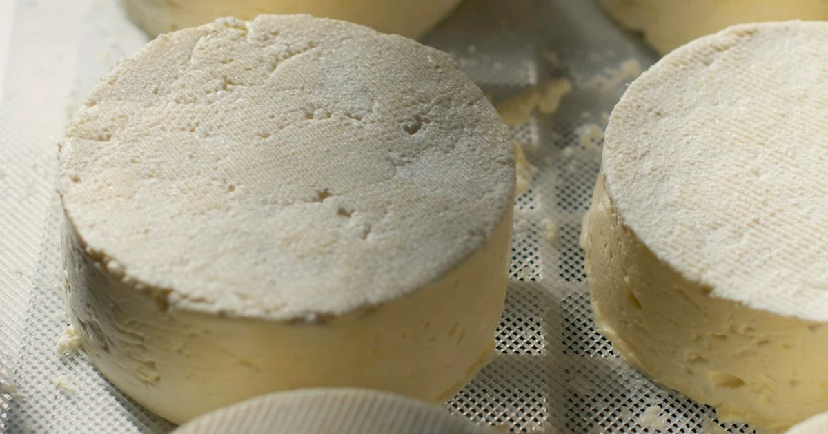 Compra queso gourmet innovador sin perder el origen