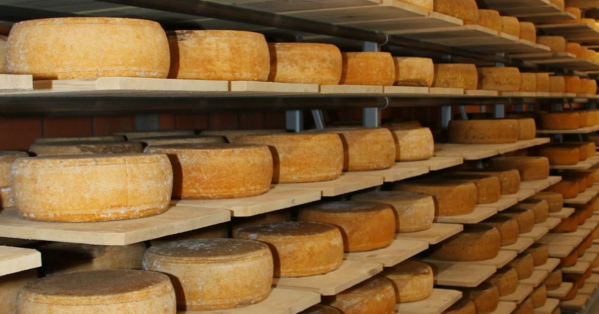 Comprar queso local solo por su maduración es un error