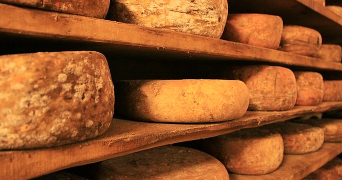Elige las mejores tablas de queso para lucirte en 2026